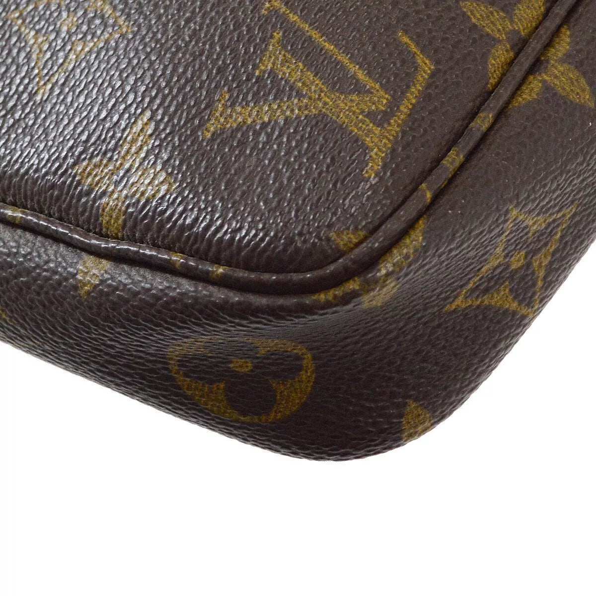 Louis Vuitton Monogram Canvas Pochette Accessoires Bag